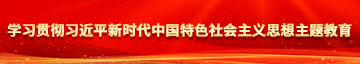 国产少萝在线看视频学习贯彻习近平新时代中国特色社会主义思想主题教育